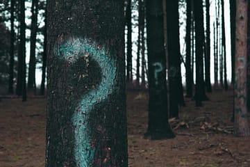 Des arbres avec des points d'intérrogation